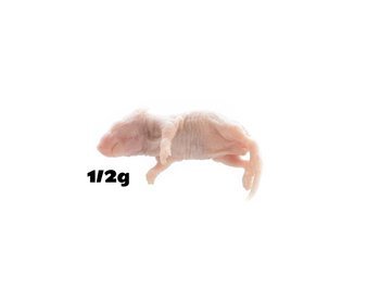 Mouse 1/2g